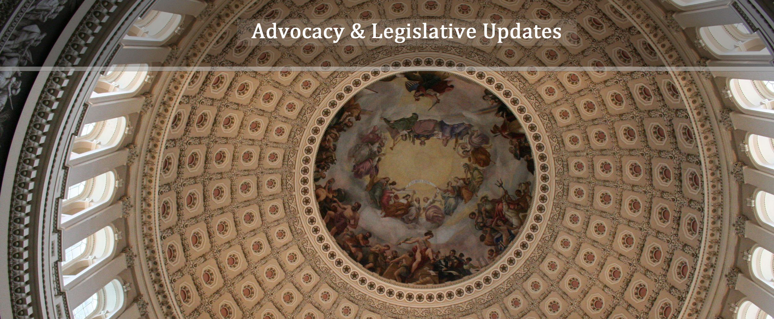Advocacy